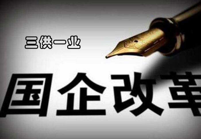 “三供一業(yè)”將推動(dòng)光電直讀遠傳水表發(fā)展